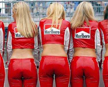 Paddock Girls