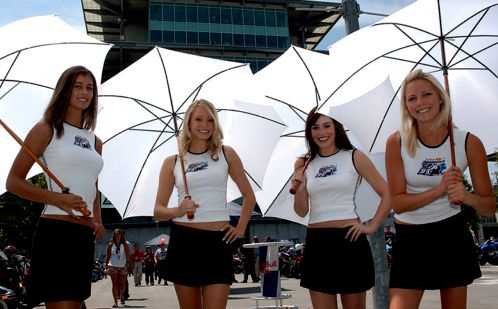 Paddock Girls