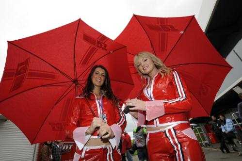 Paddock Girls