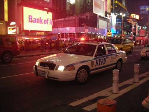Le auto della polizia americana