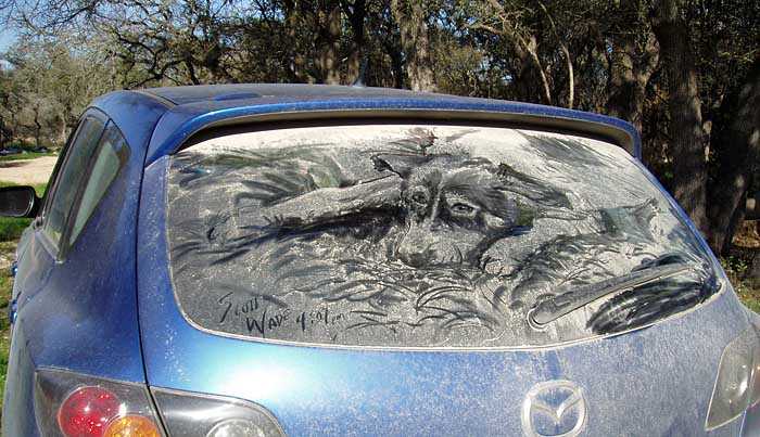 Vetri sporchi? No, opere d'arte...