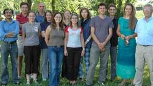 L'Università di Udine brevetta un nuovo catalizzatore Euro 6