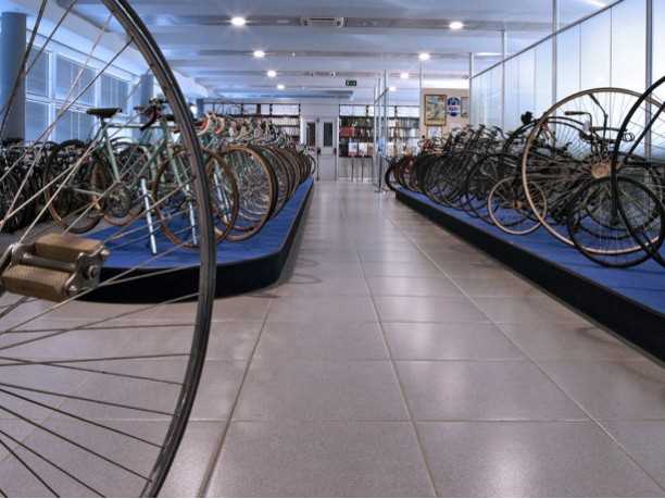 Museo Nicolis