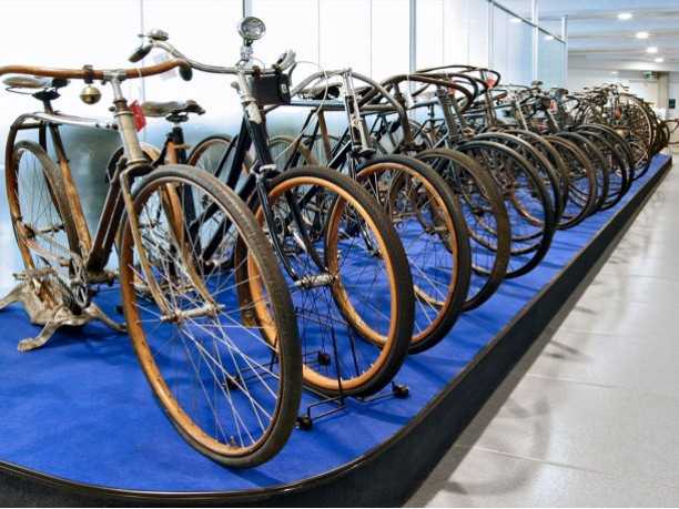 Museo Nicolis