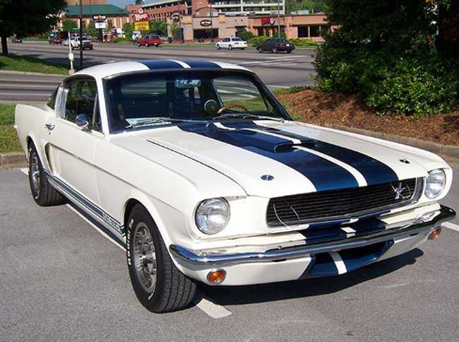 Ford Mustang Shelby GT350 e GT500: la storia