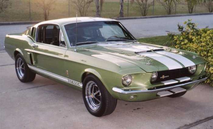 Ford Mustang Shelby GT350 e GT500: la storia