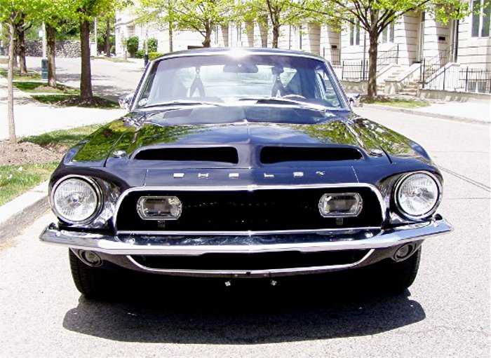 Ford Mustang Shelby GT350 e GT500: la storia
