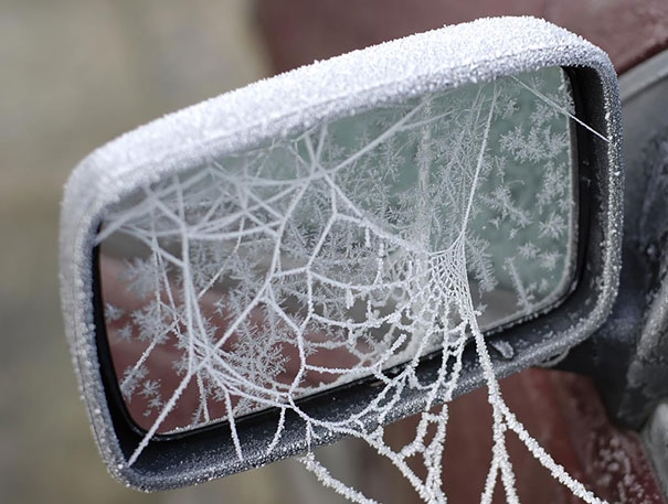 Auto ghiacciate come opere d'arte