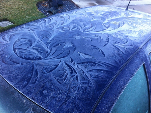 Auto ghiacciate come opere d'arte
