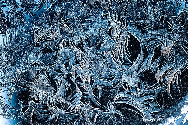 Auto ghiacciate come opere d'arte
