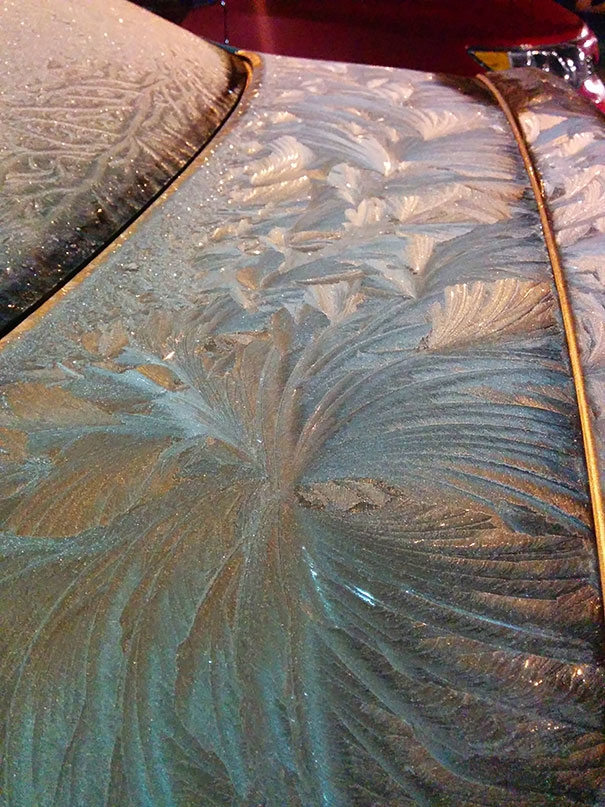 Auto ghiacciate come opere d'arte