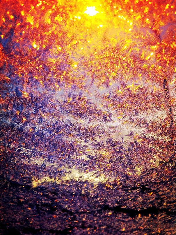 Auto ghiacciate come opere d'arte