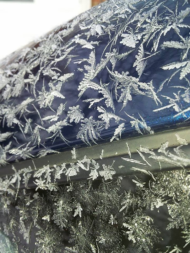 Auto ghiacciate come opere d'arte