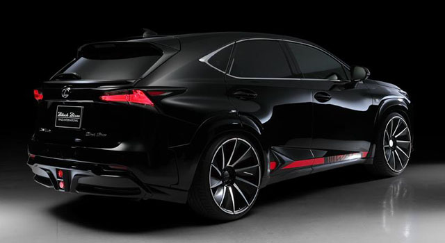 Lexus NX by Wald International