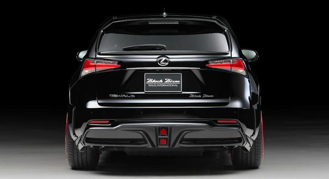Lexus NX by Wald International