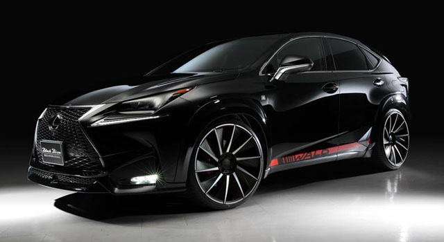 Lexus NX by Wald International
