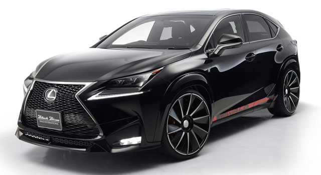 Lexus NX by Wald International