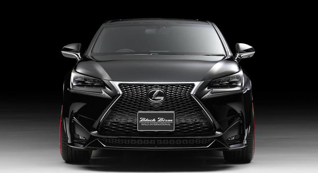 Lexus NX by Wald International