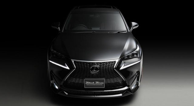 Lexus NX by Wald International