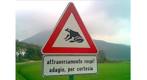 I cartelli stradali più assurdi mai visti
