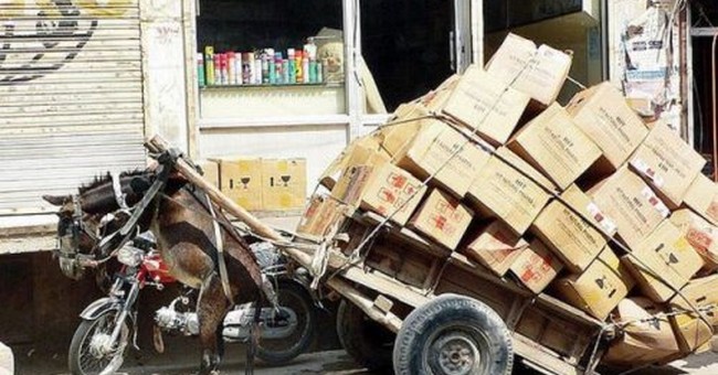 I trasporti più assurdi e pericolosi del mondo