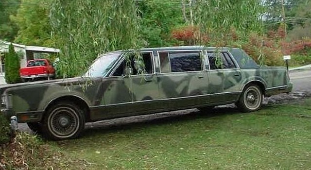 Limousine: sfarzo e trash