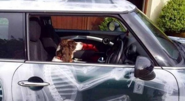 I car wrapping e le aerografie più belle