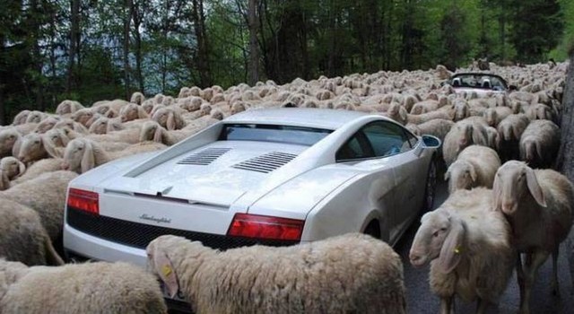 Le immagini più assurde scattate nel traffico