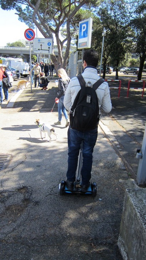 1° Raduno Interregionale Mobilità Elettrica e Sostenibile
