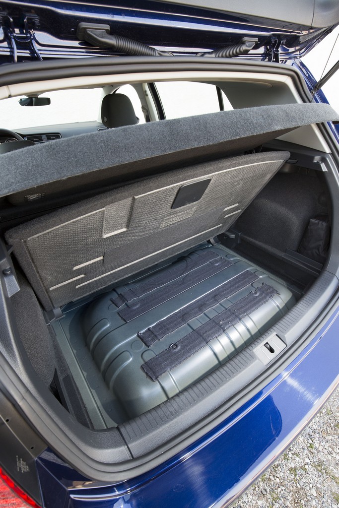 Volkswagen Polo e Golf TGI