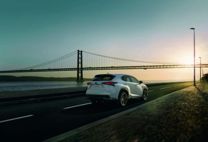 Lexus NX 300h Sport 2018