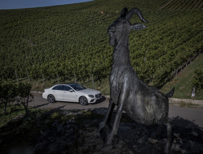 Mercedes EQ: le immagini della gamma ecosostenibile