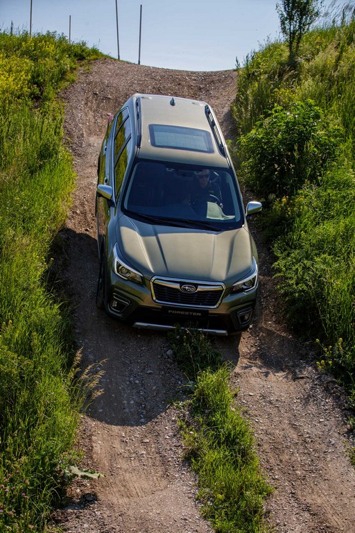 Subaru Forester ed XV E-Boxer