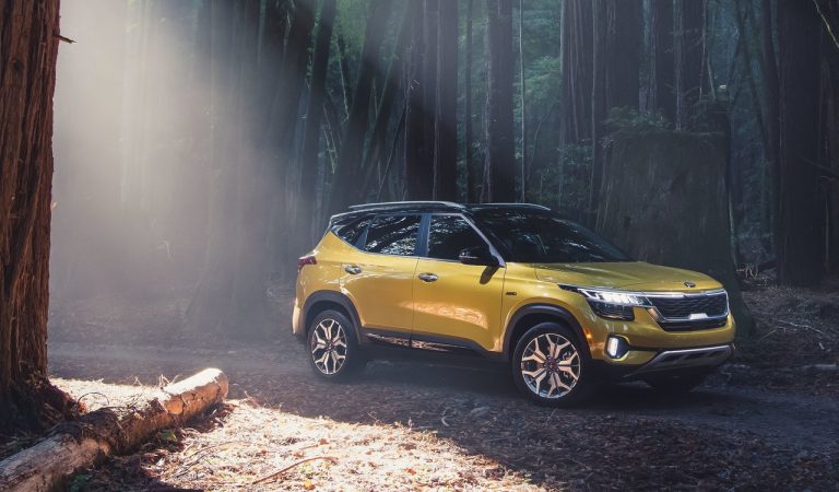 Kia Seltos: le immagini ufficiali