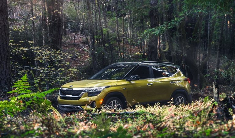 Kia Seltos: le immagini ufficiali