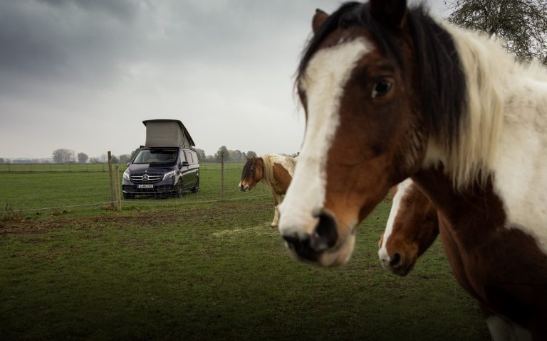 Mercedes Classe V e Marco Polo 2020: le foto ufficiali