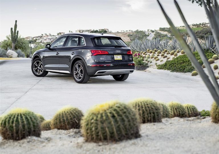 Audi Q5 2020: foto ufficiali