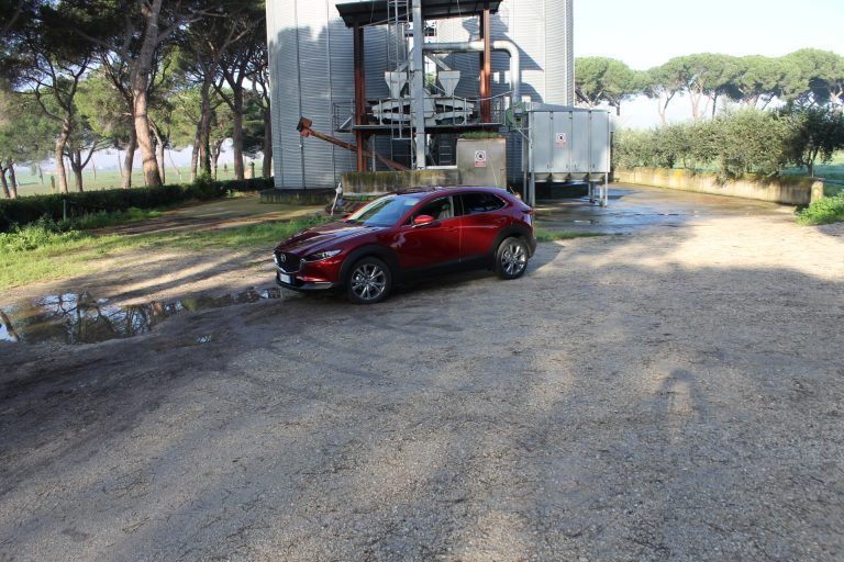 Mazda CX-30 2.0 122CV SKYACTIV-G Hybrid Exclusive