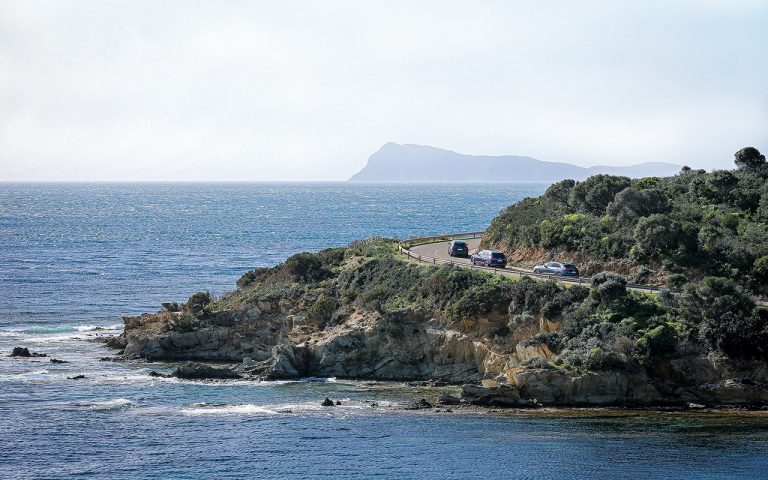 Audi Q5, Q7 e SQ8: le immagini