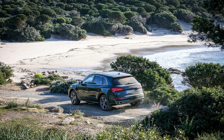 Audi Q5, Q7 e SQ8: le immagini
