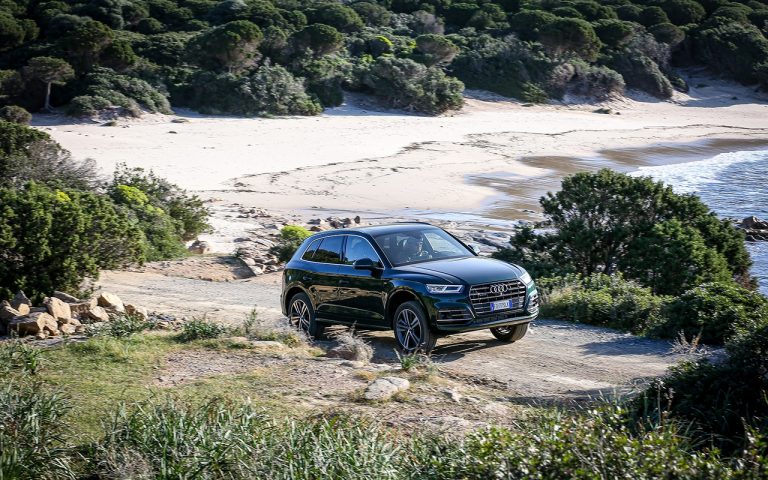 Audi Q5, Q7 e SQ8: le immagini