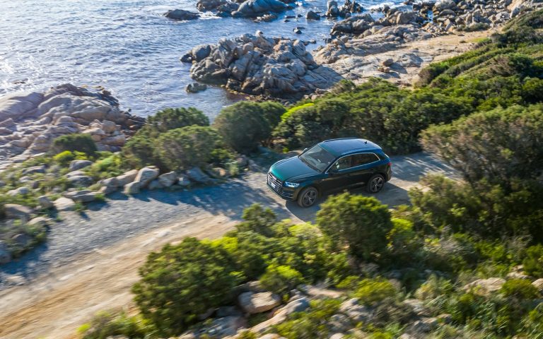 Audi Q5, Q7 e SQ8: le immagini