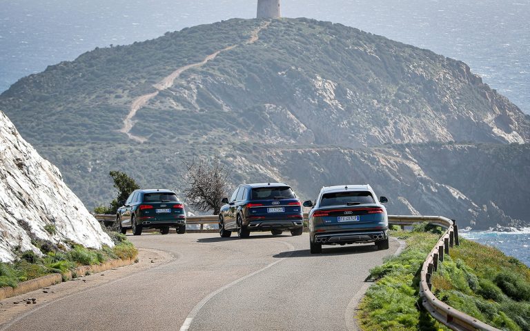 Audi Q5, Q7 e SQ8: le immagini