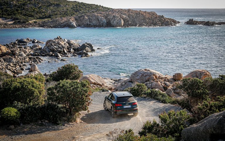 Audi Q5, Q7 e SQ8: le immagini