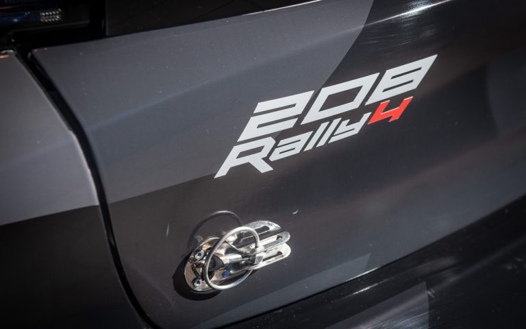 CIR: Andreucci e Andreussi con la nuova Peugeot 208 Rally 4