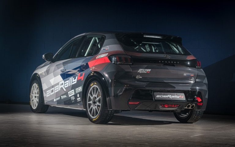 CIR: Andreucci e Andreussi con la nuova Peugeot 208 Rally 4