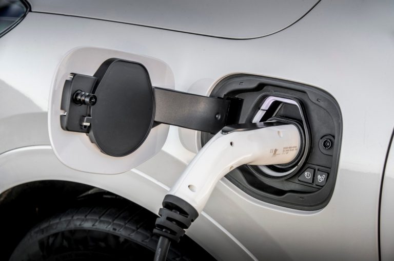Ford Kuga 2020: immagini ufficiali