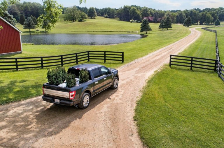 Ford F-150 2021: immagini ufficiali