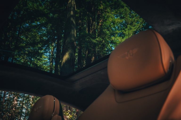 Bentley Continental GT, nuove finiture 2020