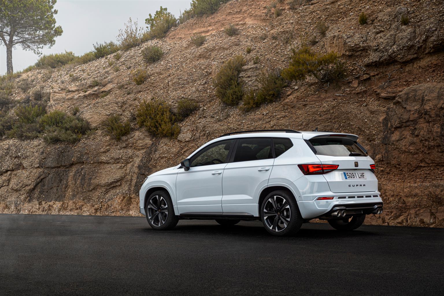 Nuova Cupra Ateca 2020: immagini ufficiali